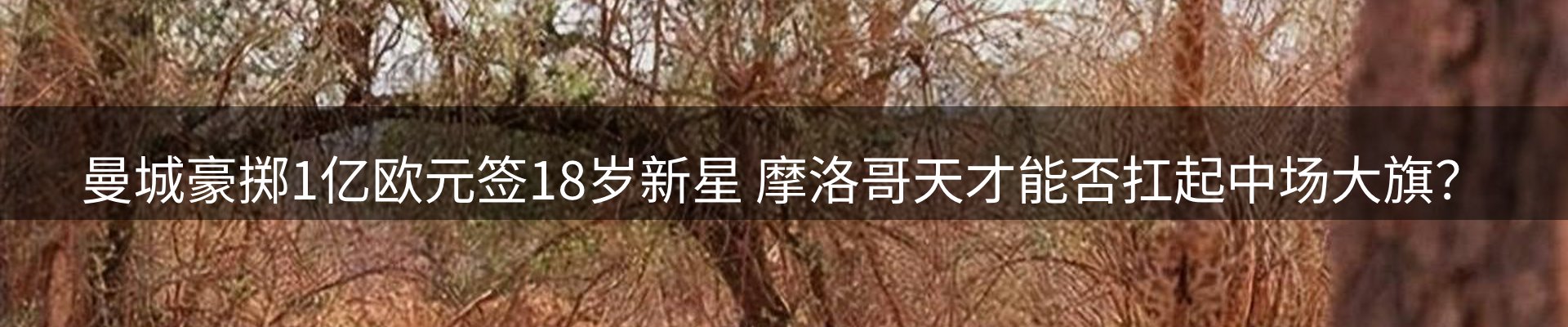 资讯展望