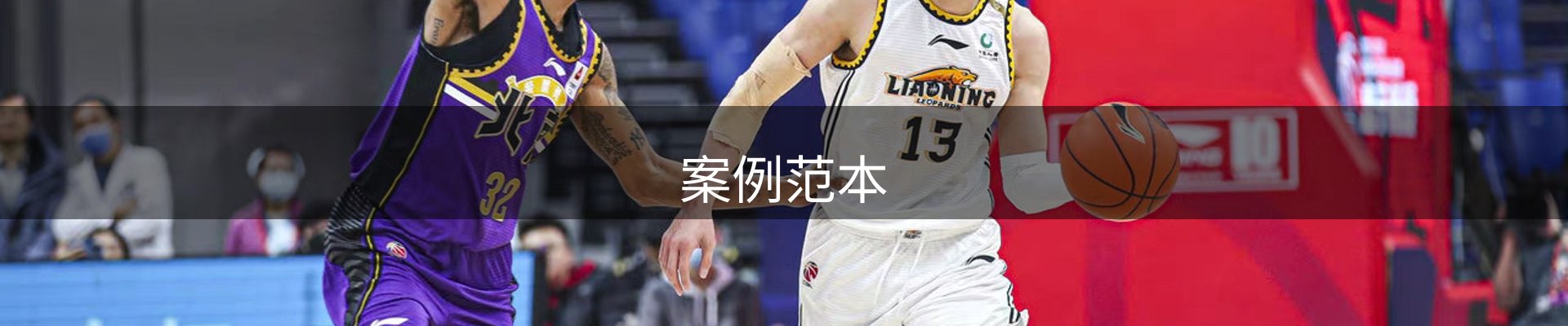 案例范本